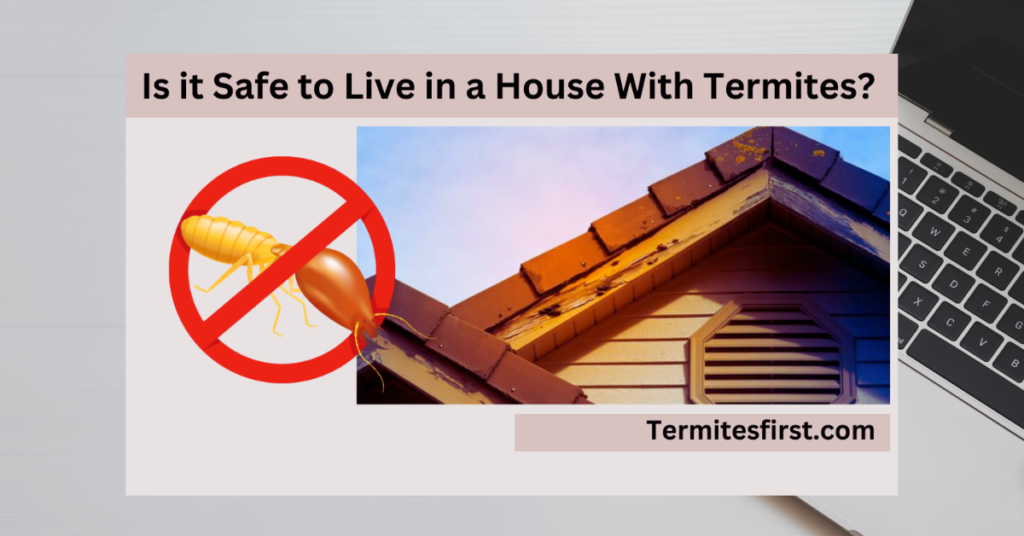 Is It Safe To Live In A House With Termites Complete Guide Is It Safe To Live In A House With Termites Complete Guide