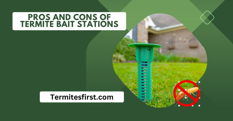 Pros and Cons of Termite Bait Stations: Insights & Experience