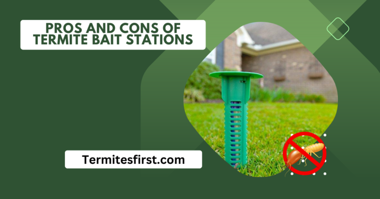 Pros and Cons of Termite Bait Stations