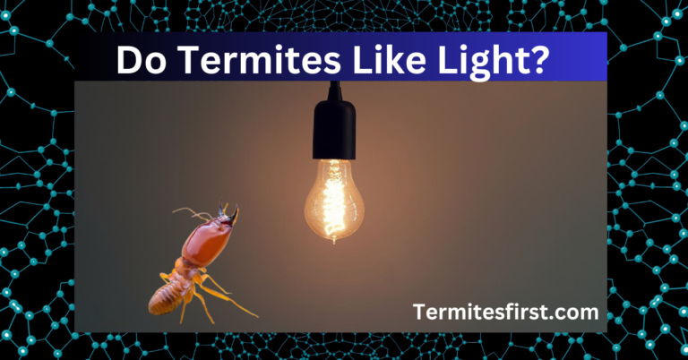 Do Termites Like Light? Flying Termites’ Attraction to Light