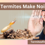 Do Termites Make Noise