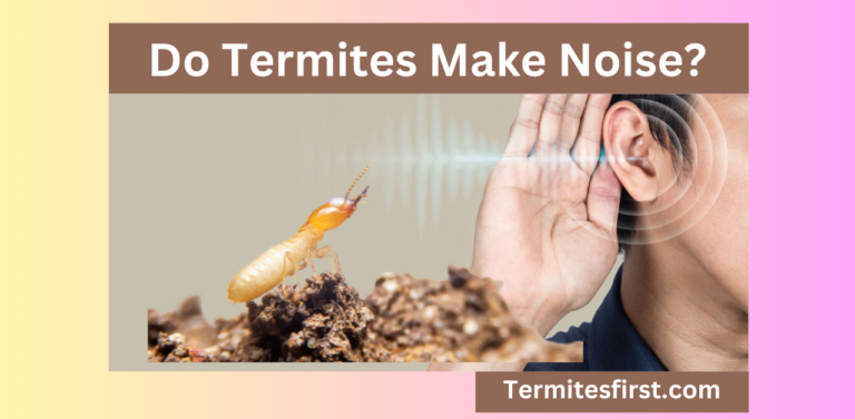 Do Termites Make Noise in Walls? Listen for These Sounds