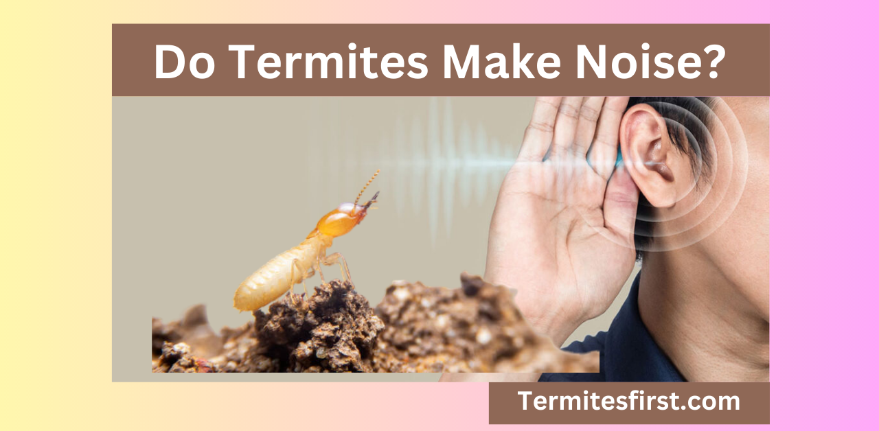 Do Termites Make Noise