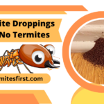 Termite Droppings but No Termites