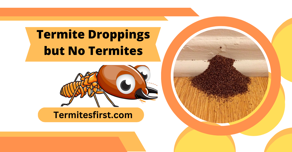 Termite Droppings but No Termites