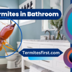 Termites in Bathroom