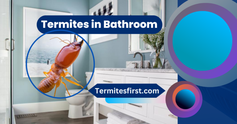 Termites in Bathroom