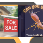 Can you Buy Termites