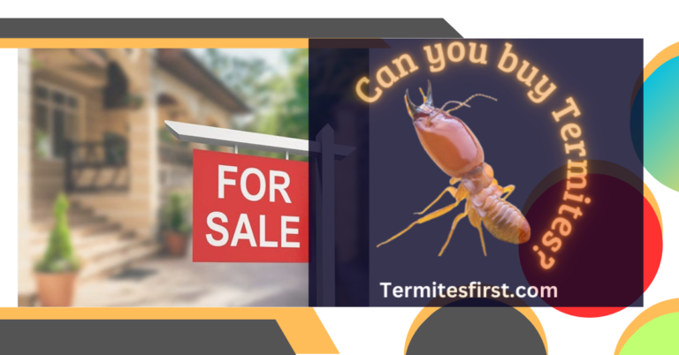 Can you Buy Termites