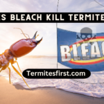 does bleach kill termites