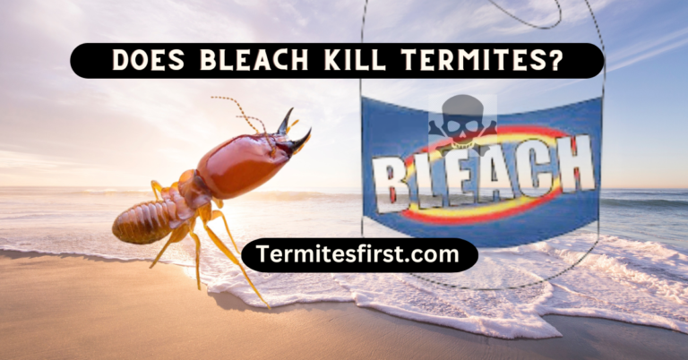 Debunking the Myth: Does Bleach Kill Termites? Effective Termite Control Methods Explained