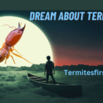 dream about termites