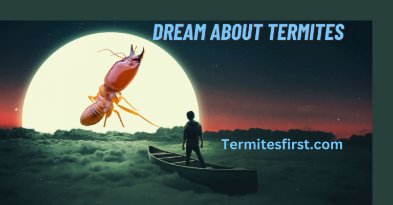 Hidden Dream about Termites:Symbolism and Interpretations