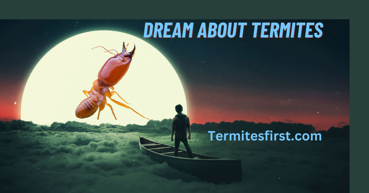 dream about termites