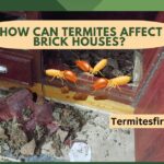 How can termites affect brick houses