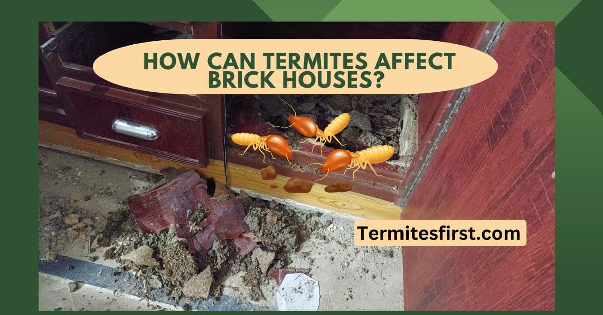 How can termites affect brick houses