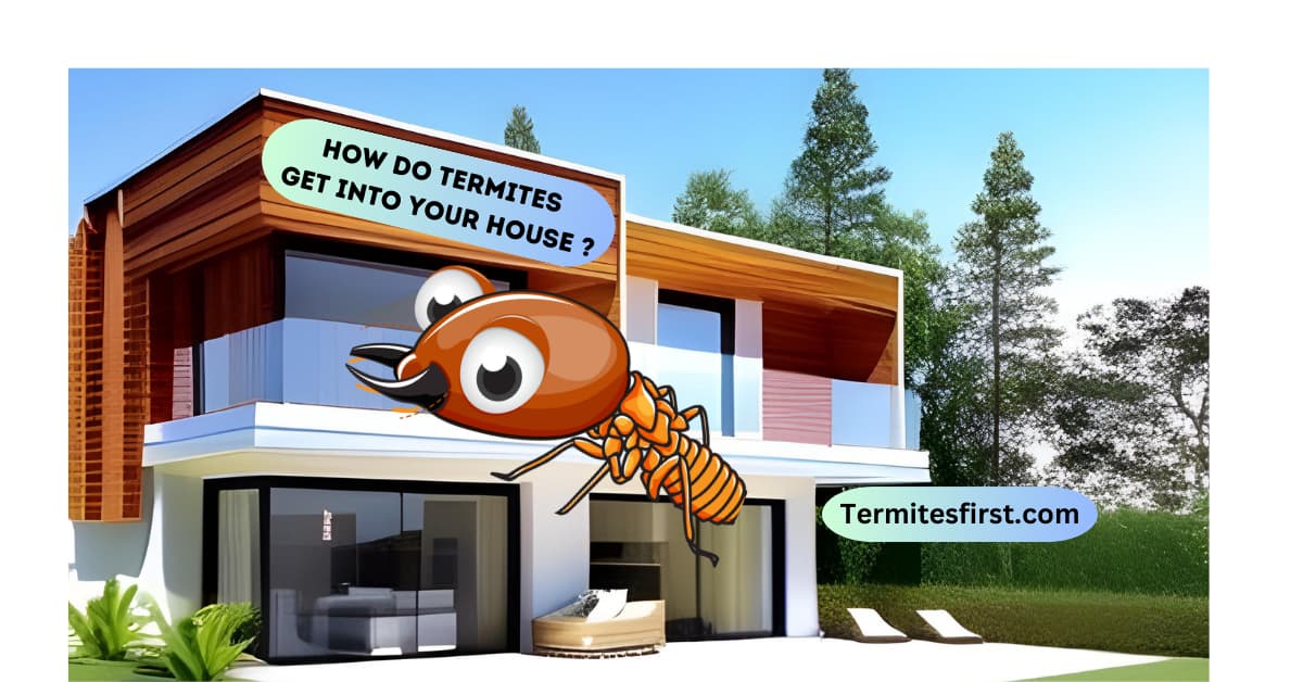 How do termites get into your house