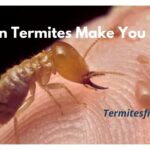 Can termites make you sick