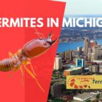 Termites in Michigan