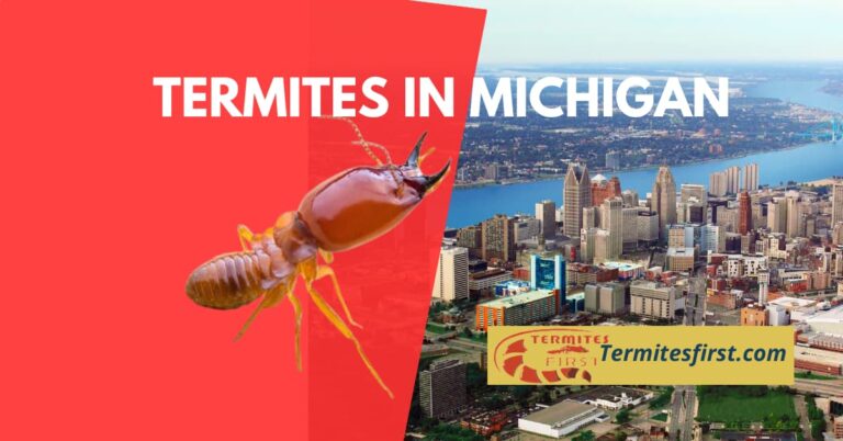 Termites in Michigan