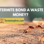 Is a termite bond a waste of money