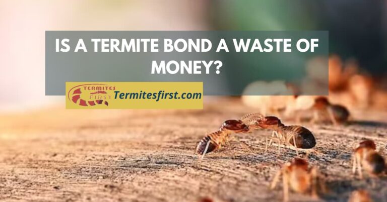 Is a termite bond a waste of money