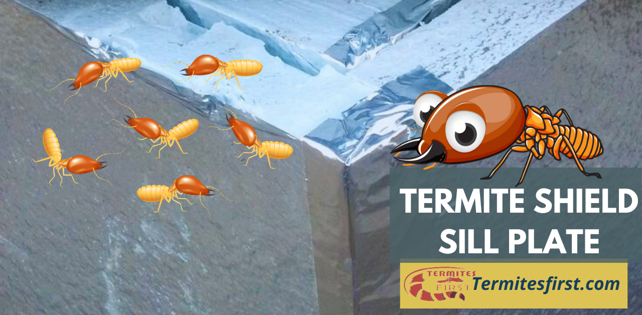 termite-bites-aluminum-termite-shield