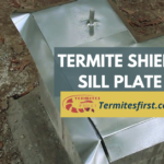 termite shield sill plate
