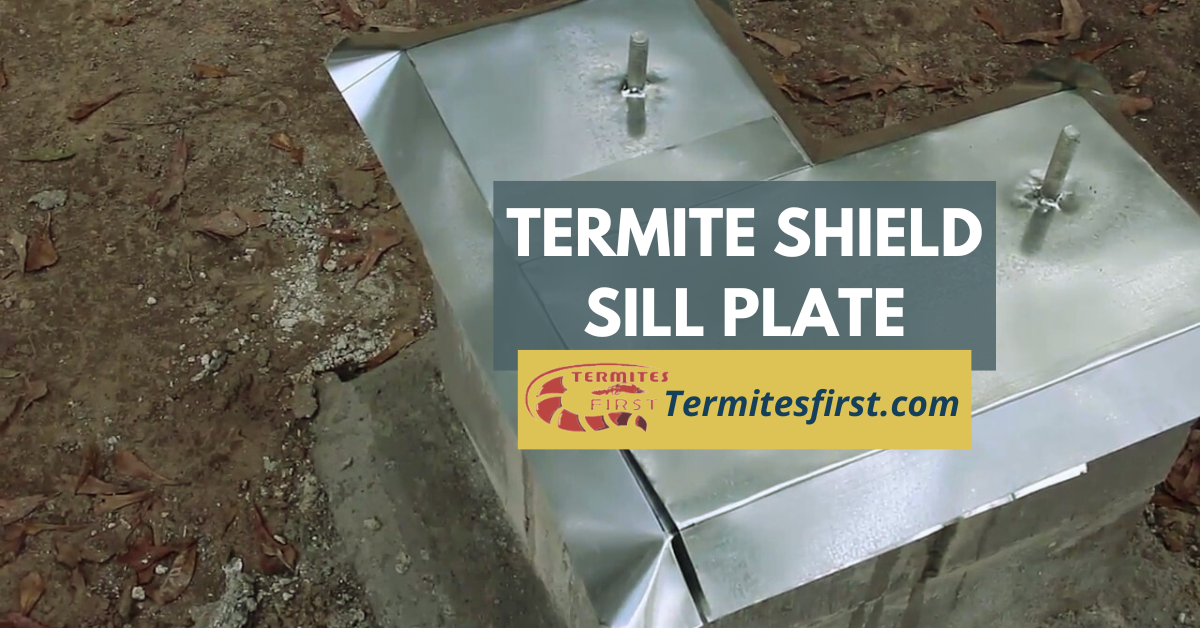 termite shield sill plate