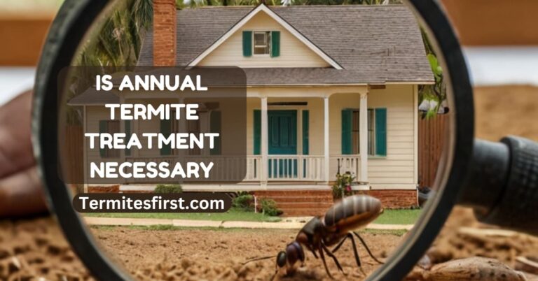 Is annual termite treatment necessary