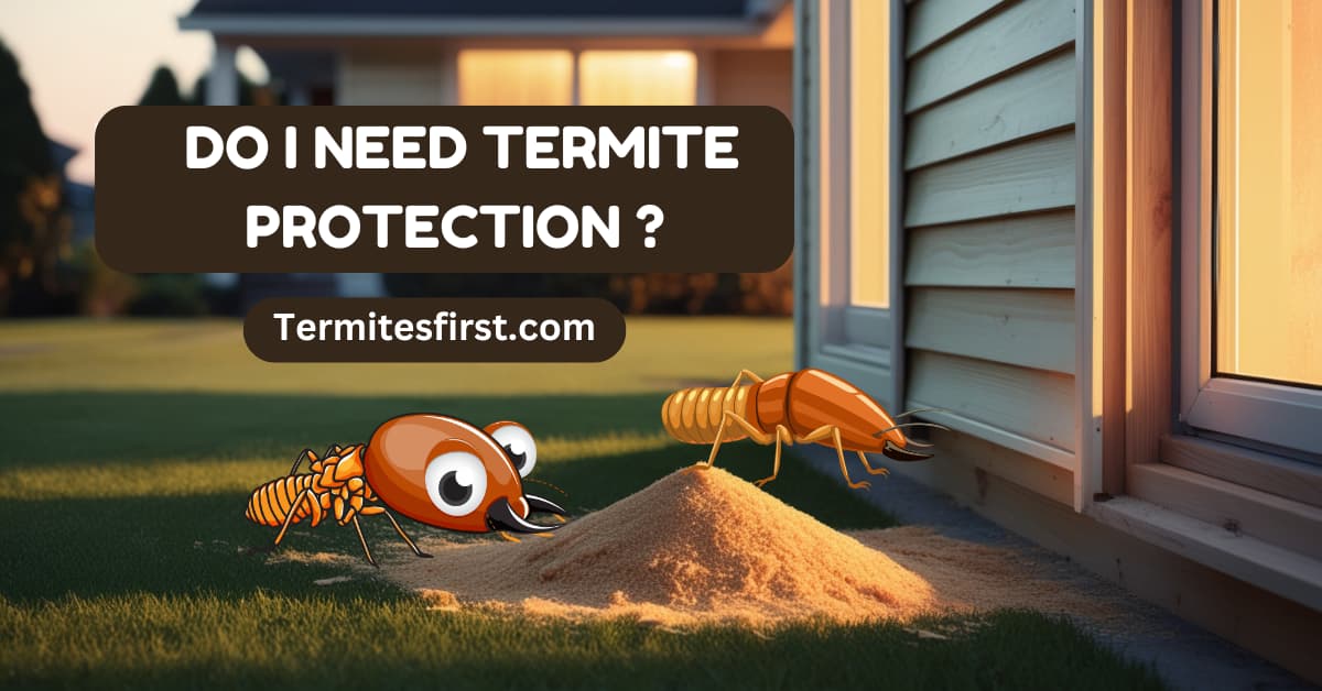 do I need termite protection