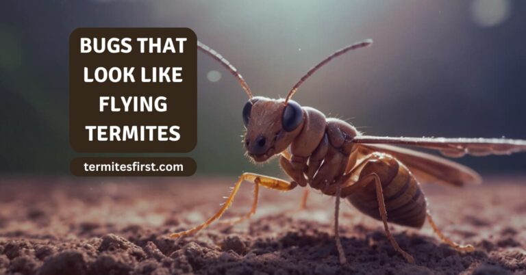 Bugs that look like flying termites