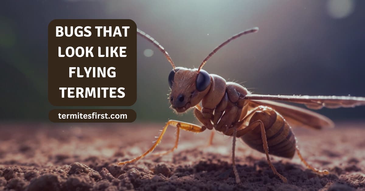 Bugs that look like flying termites