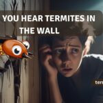 can you hear termites in the wall