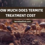 How much does termite treatment cost