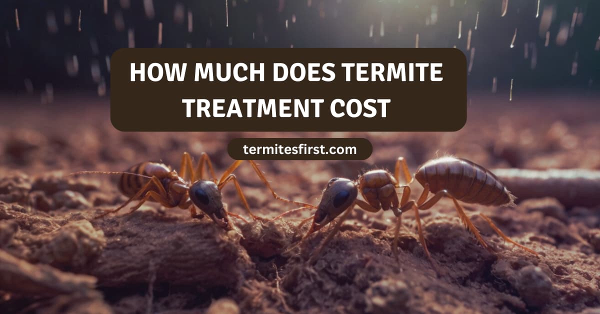 How much does termite treatment cost