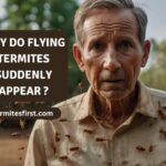 Why do flying termites suddenly appear