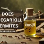 does vinegar kill termites