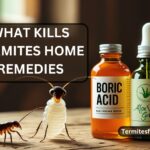 what kills termites home remedies