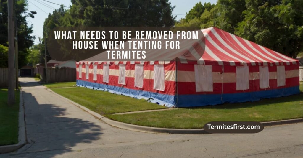 What needs to be removed from house when tenting for termites