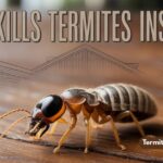 what kills termites instantly